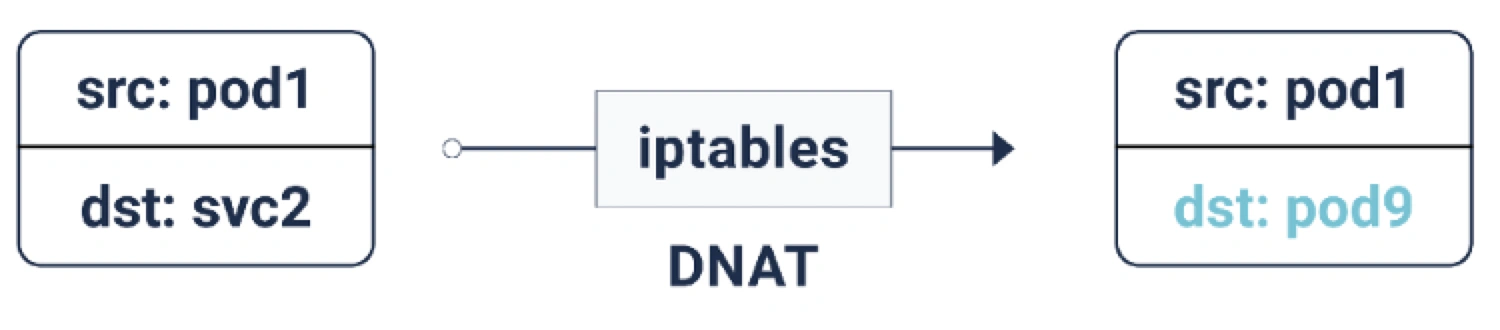 service-dnat-ip